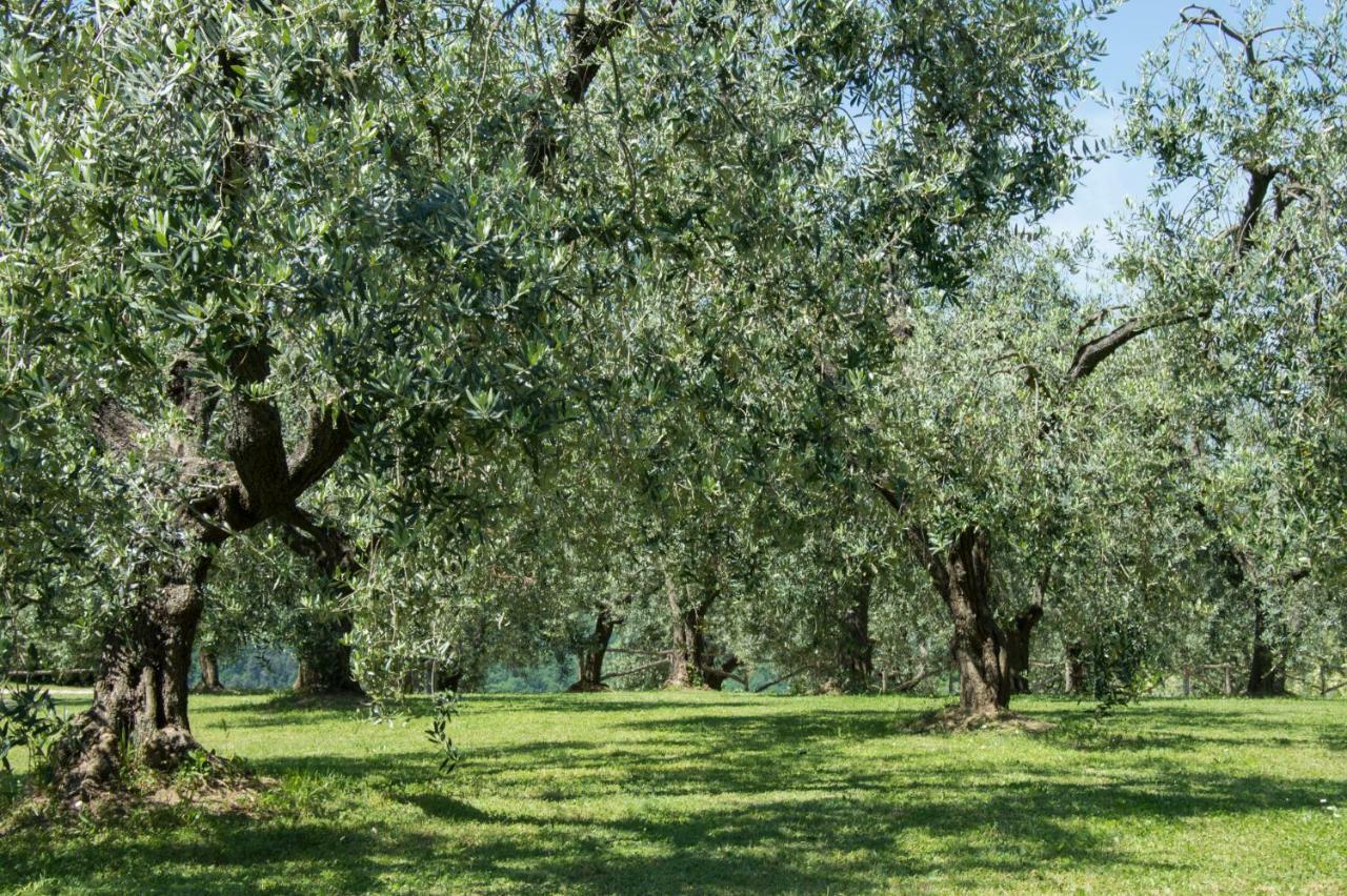 Agriturismo Podere La Casa Palaia Luaran gambar